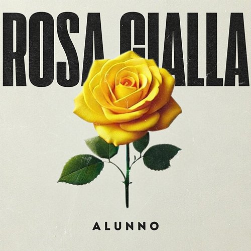 ROSA GIALLA Alunno