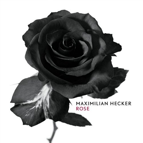 Rose Maximilian Hecker