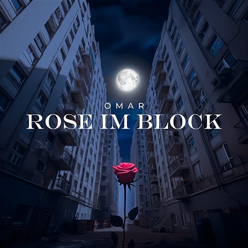 Rose im Block Omar
