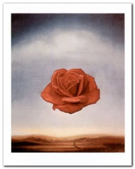 Rose Meditative plakat obraz 24x30cm Wizard+Genius