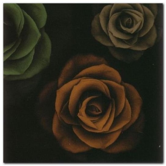 Rose Trio II plakat obraz 50x50cm Wizard+Genius