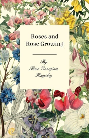 Roses And Rose Growing Kingsley Rose Georgina