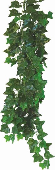 Roślina do terrarium Hedera Helix Happet 50cm Happet