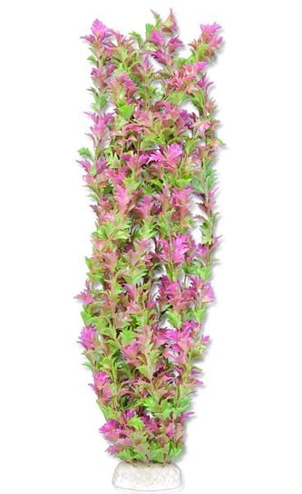 Roślina folia 65cm 6f36 Happet Happet