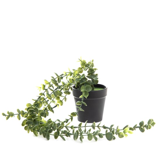Roślina sztuczna EUCALYPTUS wisząca 50 cm HOMLA Homla