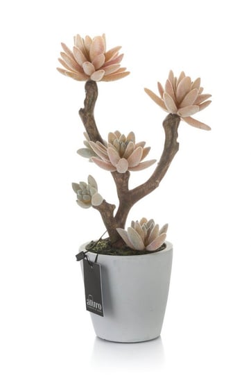 Roślina sztuczna - kaktusy na drzewie Aluro