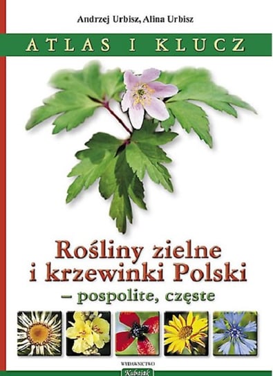 Rośliny zielne i krzewinki Polski Urbisz Andrzej, Urbisz Alina