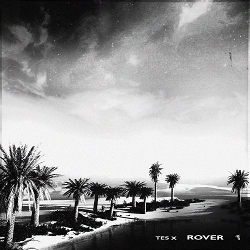 Rover Tes X
