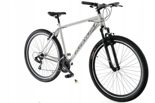 Rower MTB 29'' Kands Guardian szary mat M17 2024 Kands