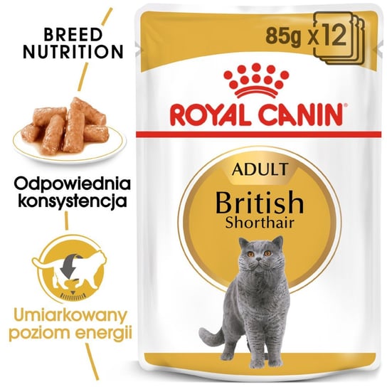 ROYAL CANIN British Shorthair Adult saszetka 12x85g (Sos) karma mokra w sosie dla kotów dorosłych rasy brytyjski krótkowłosy Royal Canin