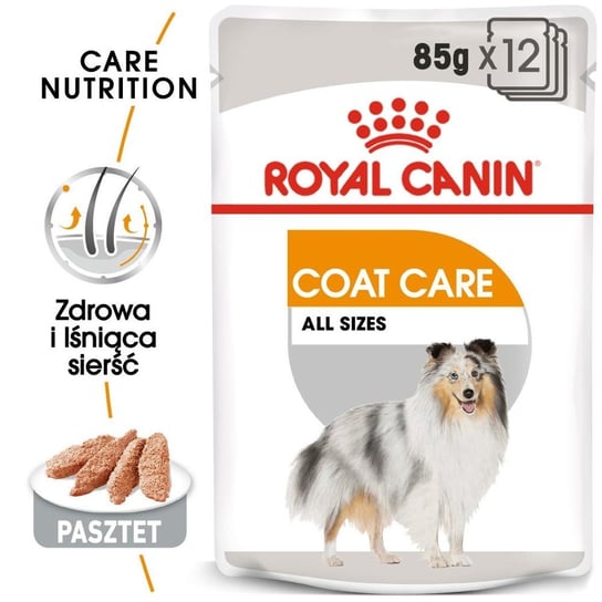 ROYAL CANIN CCN Coat Care 12x85g karma mokra - pasztet dla psów dorosłych o matowej sierści Royal Canin