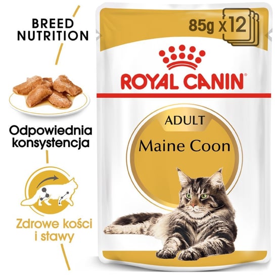 ROYAL CANIN Maine Coon Adult saszetka 12x85g (Sos) Royal Canin