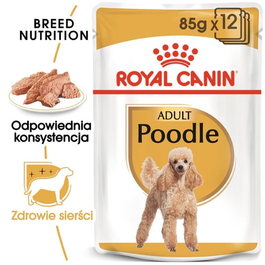ROYAL CANIN Poodle 12x85g karma mokra - pasztet, dla psów dorosłych rasy pudel Royal Canin