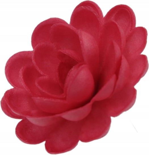Róża Angielska Duża Czerwona Kwiat Waflowy 1 Szt Świat Cukiernika