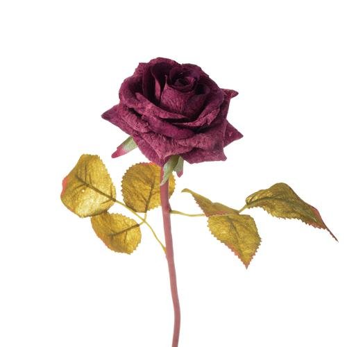 Róża - gałązka korkowa Bomm