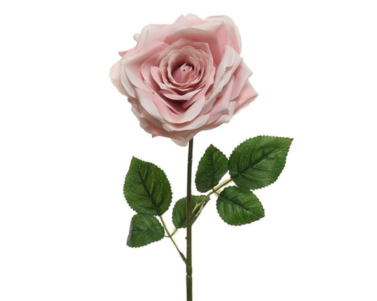 Róża Kwiat Sztuczna Pudrowa Ozdobna Dekoracja ABC