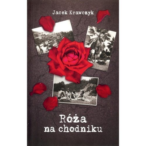 Róża na chodniku Krawczyk Jacek