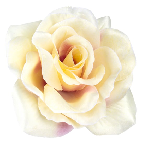 Róża Satynowa Główka Wyrobowa Kremowo-Fiołkowa Siima