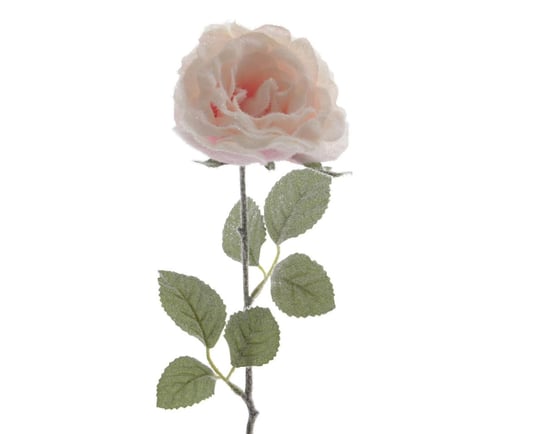 Róża Welurowa Oprószona Śniegiem Pudrowy Róż 45Cm ABC