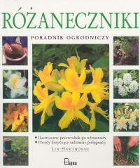 Różaneczniki Hawthorne Lin