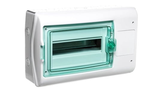 Centralino A Parete 12 Moduli IP65 Porta Trasparente Schneider 10315