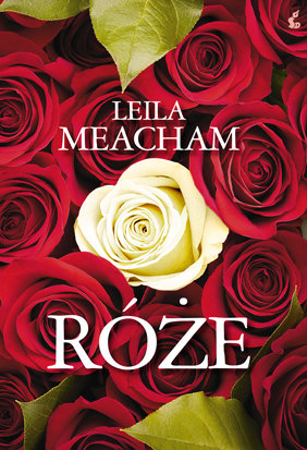 Róże Meacham Leila