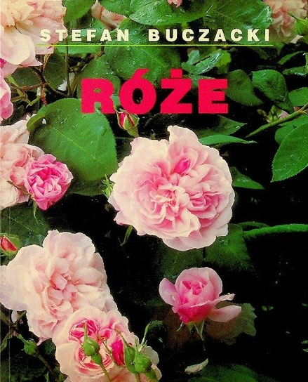 Roże Buczacki Stefan