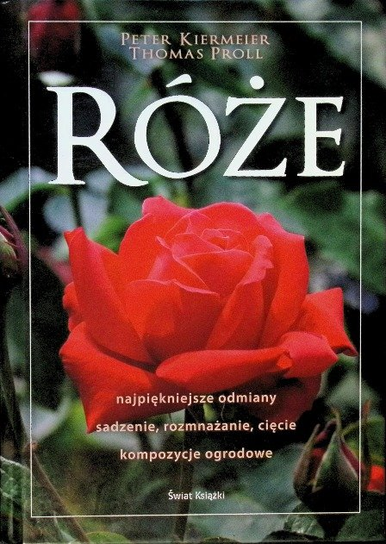 Róże Kiermeier Peter