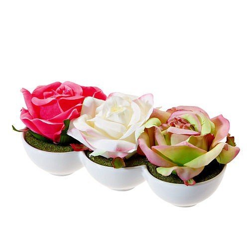 Róże w ceramicznej doniczce, 3 szt. Ravelo