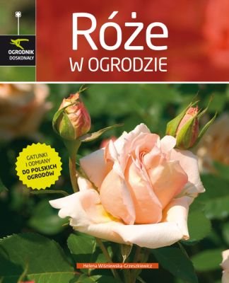 Róże w ogrodzie Wiśniewska-Grzeszkiewicz Helena