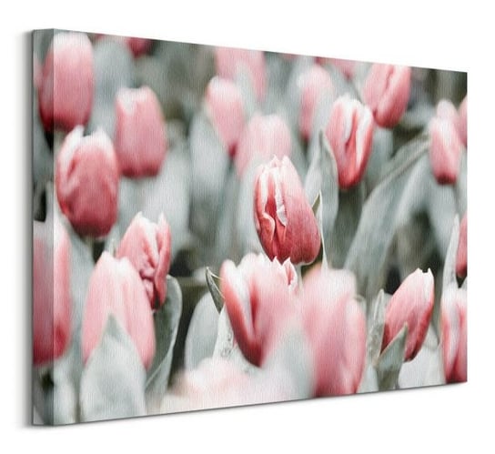 Różowe tulipany - obraz na płótnie Nice Wall