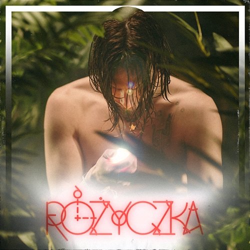Różyczka Vixen