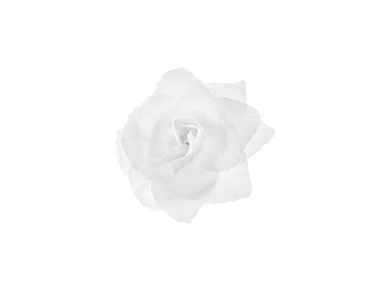 Różyczki do przylepiania, biały, 9 cm, 24 sztuki PartyDeco