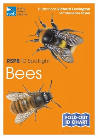 RSPB ID Spotlight - Bees Taylor Marianne