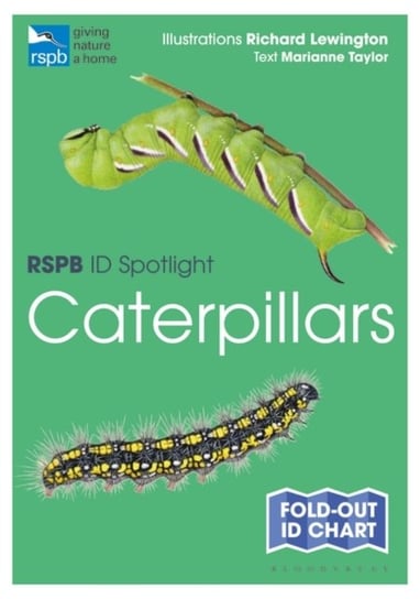 RSPB ID Spotlight - Caterpillars Taylor Marianne