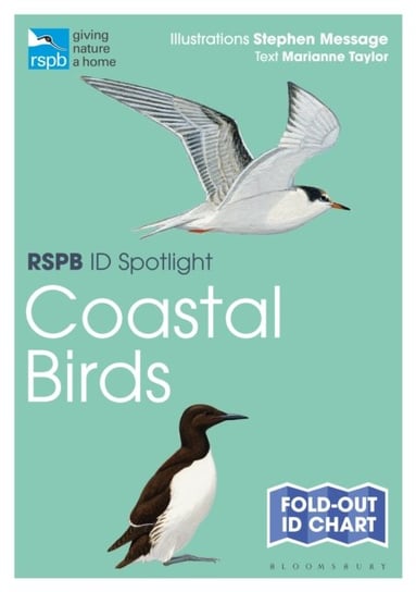 RSPB ID Spotlight - Coastal Birds Taylor Marianne
