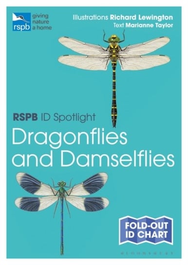 RSPB ID Spotlight - Dragonflies and Damselflies Taylor Marianne