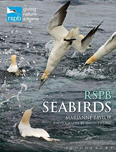RSPB Seabirds Taylor Marianne