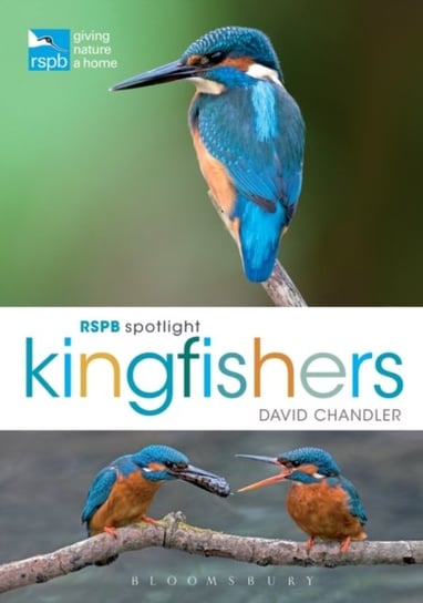 RSPB Spotlight Kingfishers Chandler David