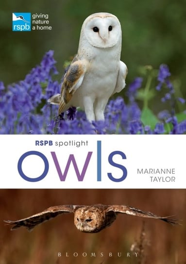 RSPB Spotlight Owls Taylor Marianne