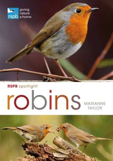 RSPB Spotlight: Robins Taylor Marianne