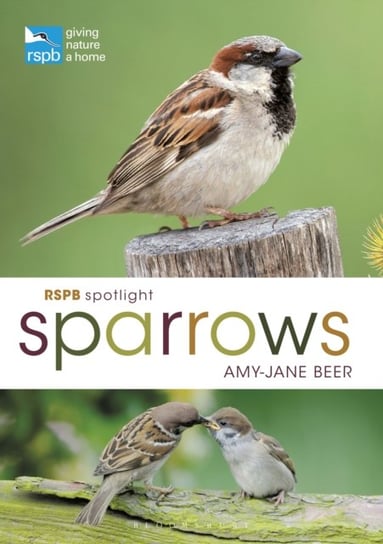RSPB Spotlight Sparrows Beer Amy-Jane