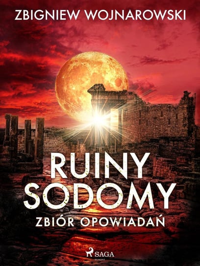 Ruiny Sodomy. Zbiór opowiadań Wojnarowski Zbigniew