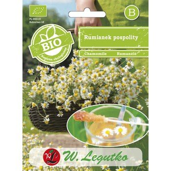 Rumianek Pospolity Legutko W.LEGUTKO