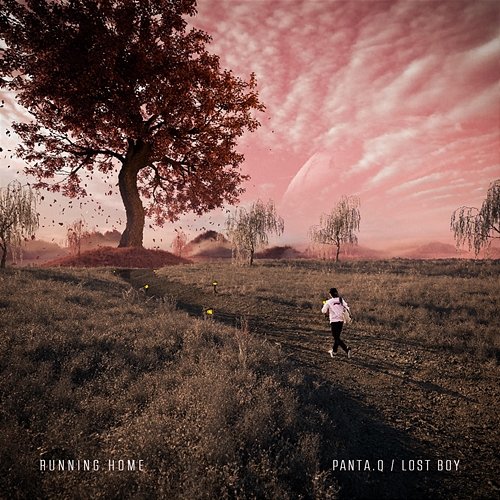 Running Home (feat. Lost Boy) Panta.Q feat. Lost Boy