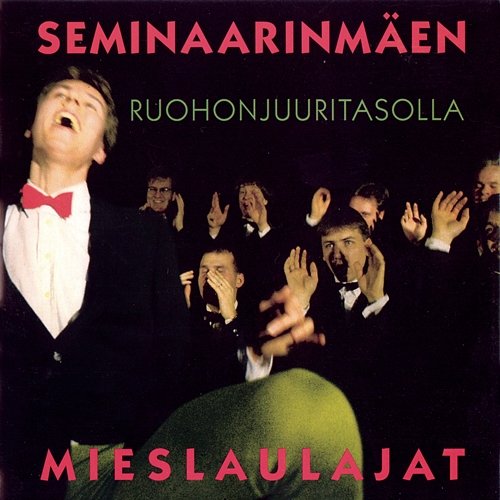 Ruohonjuuritasolla Seminaarinmäen Mieslaulajat