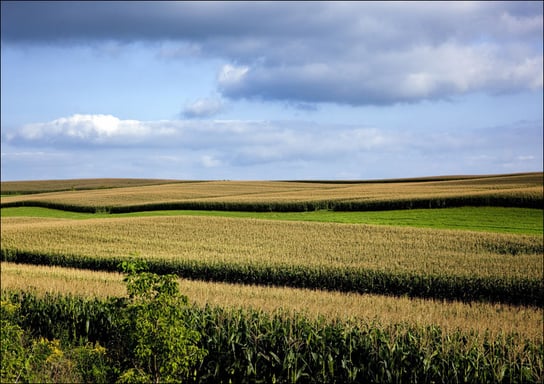 Rural Wisconsin., Carol Highsmith - plakat 70x50 cm Galeria Plakatu