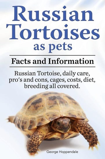 Russian Tortoises as Pets. Russian Tortoise Hoppendale George