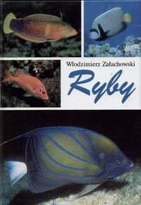 Ryby Załachowski Włodzimierz