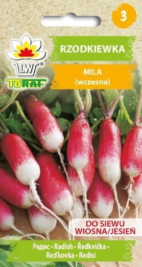Rzodkiewka MILA 
(poddłużna czerwona z białym końcem, wczesna)
Raphanus sativus L. Toraf
